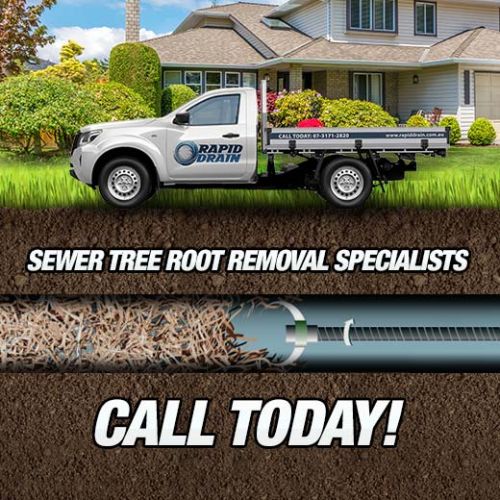 Sewer Tree Root Removal Specialists In Corinda